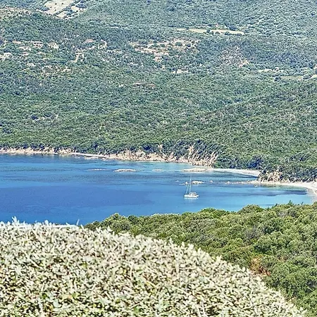 Magnifique Mini Terrasse Avec Wifi Piscine A Pied