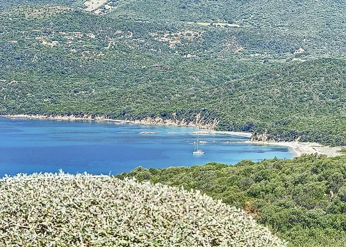 Magnifique Mini Terrasse Avec Wifi Piscine A Pied